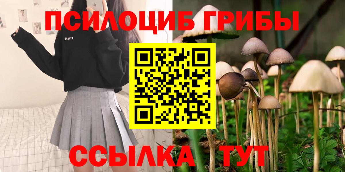 Кропоткин  Галлюциногенные грибы Cubensis  Вход с VPN 